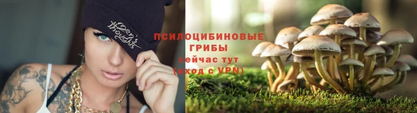 mdpv Гусиноозёрск