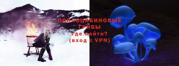 не бодяженный Гусь-Хрустальный